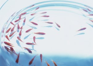 数字技术使用指南：儿童安全上网设置方法